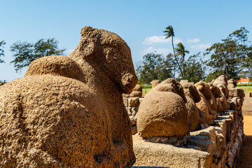 Nandi statue at the Shore Temple complex (Pallava dynasty) in Mamallapuram, Tamil Nadu, South...