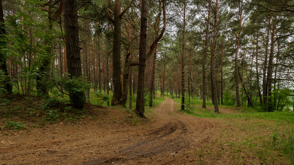 Fantastic and amazing lanscape in the wild and unpolluted nature of Latvia