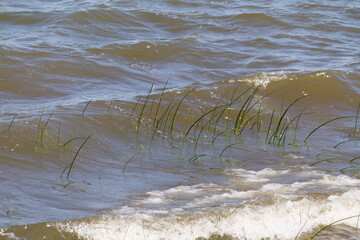 Waves and ripples on river water surface