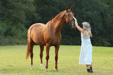 Beautiful woman with a horse, on a green summer meadow.