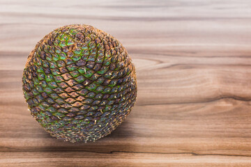 Harvested in winter, this whole pine cone, full of edible seeds of the Araucaria pine, a typical tree in southern Brazil. Space for text.