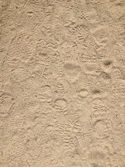 Fototapeta na wymiar traces of footsteps on sand