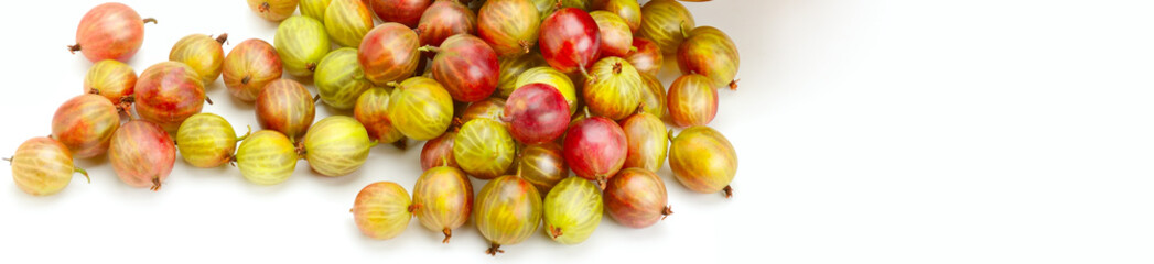 Red gooseberry isolated on white background. There is free space for text. Wide photo.