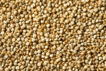 Raw Organic White Quinoa