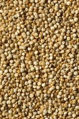 Raw Organic White Quinoa