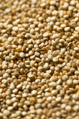 Raw Organic White Quinoa