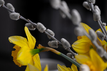 Spring flowers drenched in the sun / Wiosenne kwiaty utopione w słońcu.