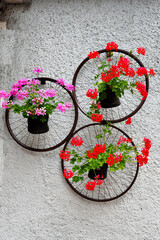 flowers as street furniture in the historic center of Chiusa Alto Adige Italy