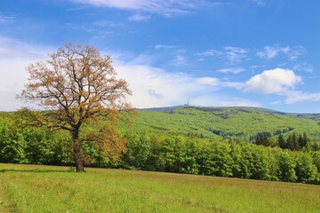 Fototapeta na wymiar Beautiful scenery of the mountains and view to the transmitter with green forests and blue sky above at White Carpathians, Czech republic