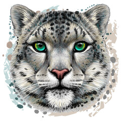 Snow leopard. Color portrait of a snow leopard in watercolor style on a white background. Digital vector graphics. 