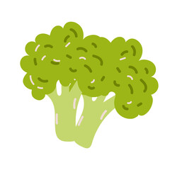 Broccoli, great design for any purposes. Flat cartoon vector illustration. Nature background vector. Isolated vector illustration. Flat design vector illustration. Isolated object.