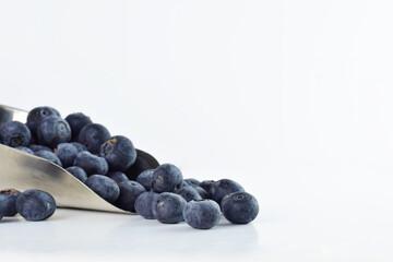 Blueberries in a metal scoop and scattered on the white background. Copy space.