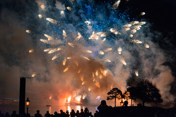 Fototapeta na wymiar Fireworks in the night. Orlando, Florida, USA, February 2015