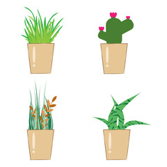 Vector illustration flower, plant growing in a pot. Potted plant icon. Little plant seedling. Seedling icon