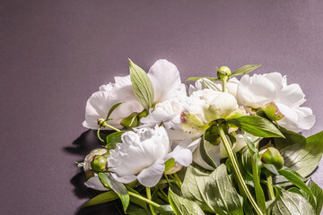 Naklejka na ściany i meble Bouquet of fresh white peonies on white old planks background