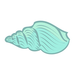 Shell.  sea, ocean, beach.  vector eps 10