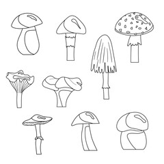 A set of mushroom coloring pages. Vector isolated on a white background