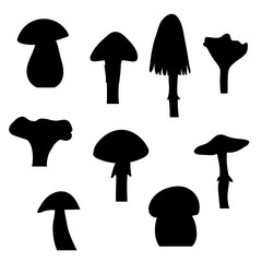 A set of autumn and summer mushrooms. Vector isolated on a white background