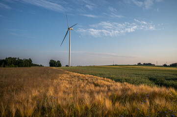 Pole z wiatrakami © Foto Kadr