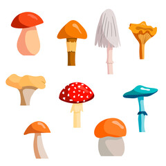 Fototapeta na wymiar A set of autumn and summer mushrooms. Vector isolated on a white background