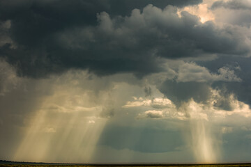 Light beams and approaching rain storm Serengeti National Park Tanzania Africa