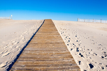 Fototapeta na wymiar A wooden boardwalk leading to the beach over a sand dune at Assateague Island, Maryland