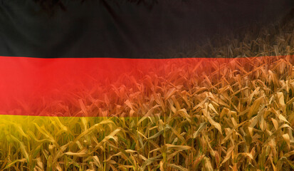 Germany Nutrition Concept Corn field with fabric Flag