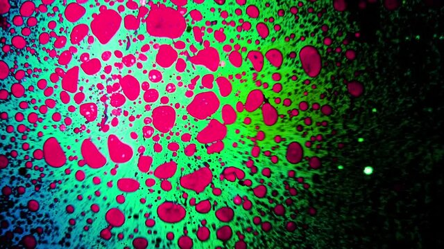 Abstract colorful paint reaction. Psychedelic liquid light show, dye patterns in water, oil, paint. Marble background for visual effects, motion graphics. Swirl pattern, ink explosion