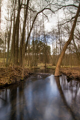 river in a forest in Brandenburg, Germany 