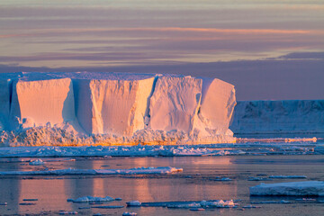 Antarctica Snow Hill. Big icebergs are bathed in the early morning light of a sunrise.
