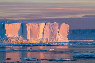 Poster Antarctique Antarctica Snow Hill. Big icebergs are bathed in the early morning light of a sunrise.