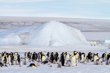 Antarctica Snow Hill. The emperor penguin rookery is on the pack ice near Snow Hill.