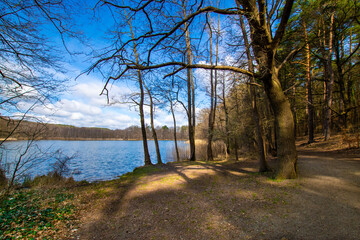 Lake in the woods of Brandenburg, Germany 
