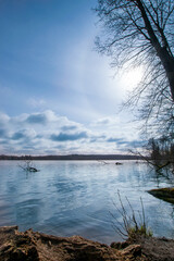 Lake in the woods of Brandenburg, Germany 