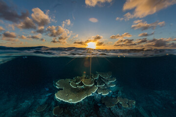Sundown sky over coral reef