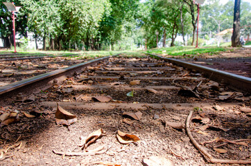 railway in the forest