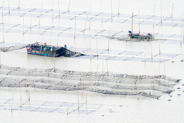 China Fujian Province Xiapu Dongbi. Seaweed is harvested by boats from special lines put into the sea. © Danita Delimont