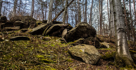 rocks sticking out of the ground