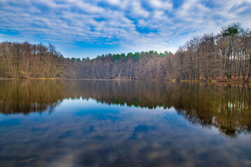 reflection of trees in the water (Brandenburg, Germany)