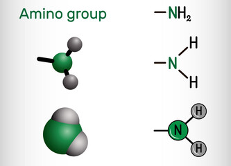 Amino group, (primary, -NH2). It is functional group comprised of a nitrogen atom linked to hydrogen atoms. Amino group attached to an organic compound is an amine