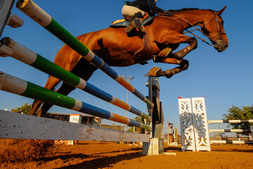 The bottom view on the rider on horse jumping over a hurdle during the equestrian event	
