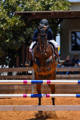 Rider on horse jumping over a hurdle during the equestrian event	

