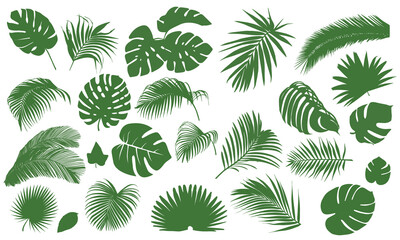 Fototapeta na wymiar Set of Tropical leaves. Collection of green leaves palm, monstera leaves, fan palm, banana leaves. Nature jungle leaves collection. Vector illustration.