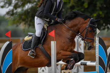 Rider on horse jumping over a hurdle during the equestrian event	
