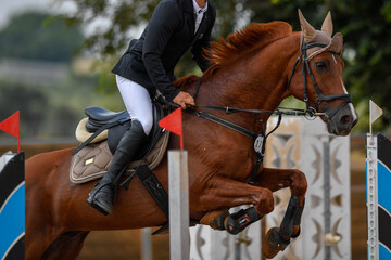 Rider on horse jumping over a hurdle during the equestrian event	
