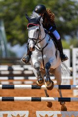 Rider on horse jumping over a hurdle during the equestrian event	
