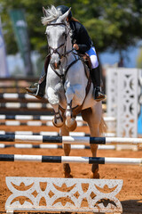 Rider on horse jumping over a hurdle during the equestrian event	
