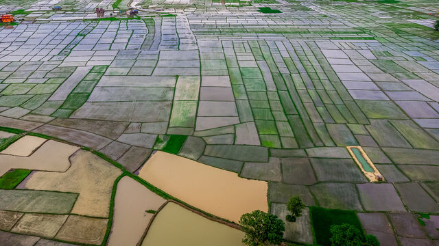 Aerial view of fresh cultivated land. Farmlands divided into rectangular block aerial shot. Monsoon season in Nepal.