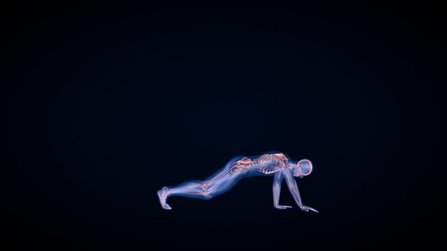 Human x-ray body and skeleton, yoga stretch side view loop, Luma Matte