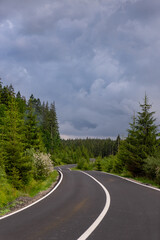 Naklejka premium wavy road in the mountains and forest
